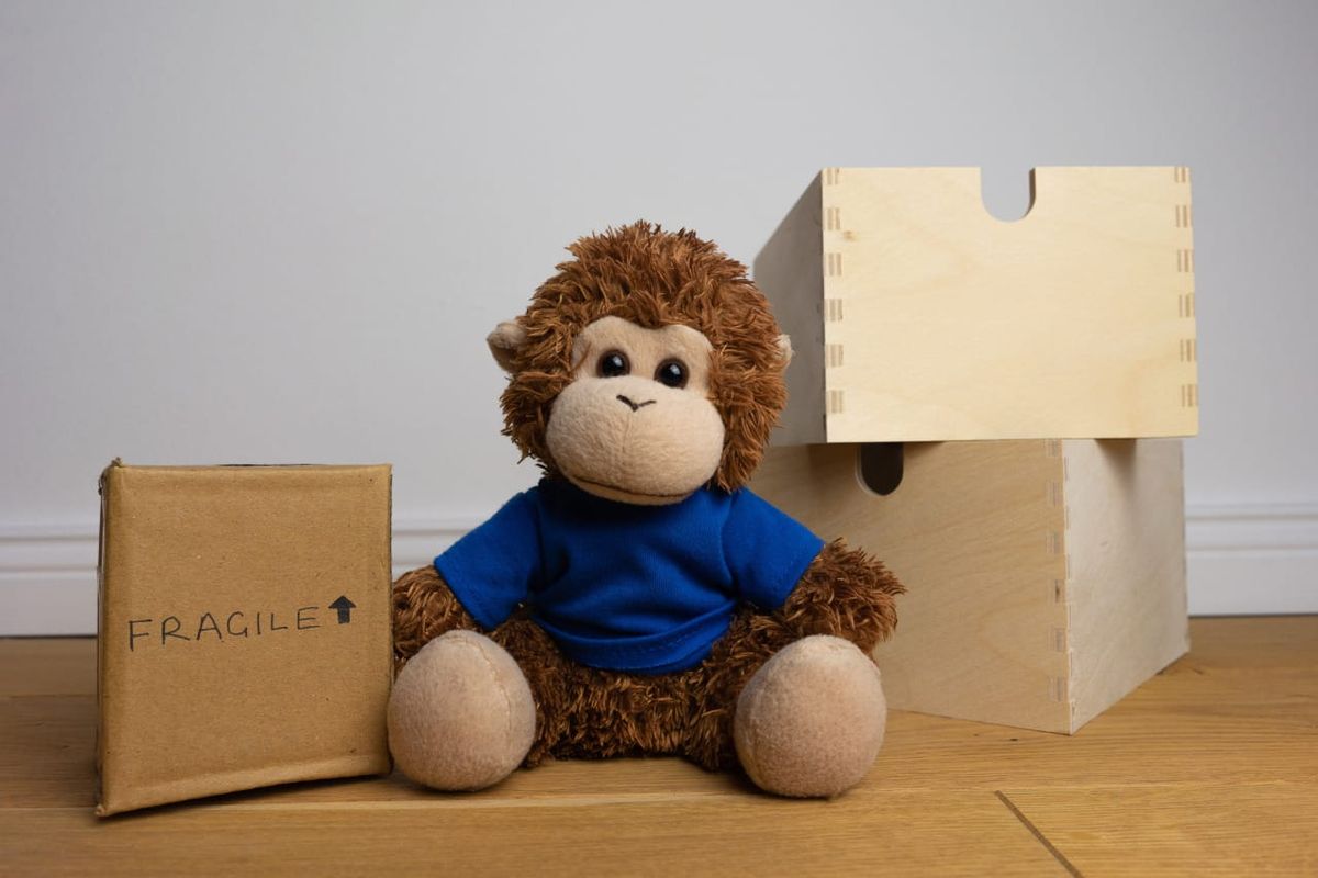Bob T. Monkey prepares to move house