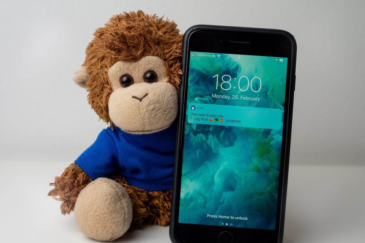 Bob T. Monkey shows a reminder to log food