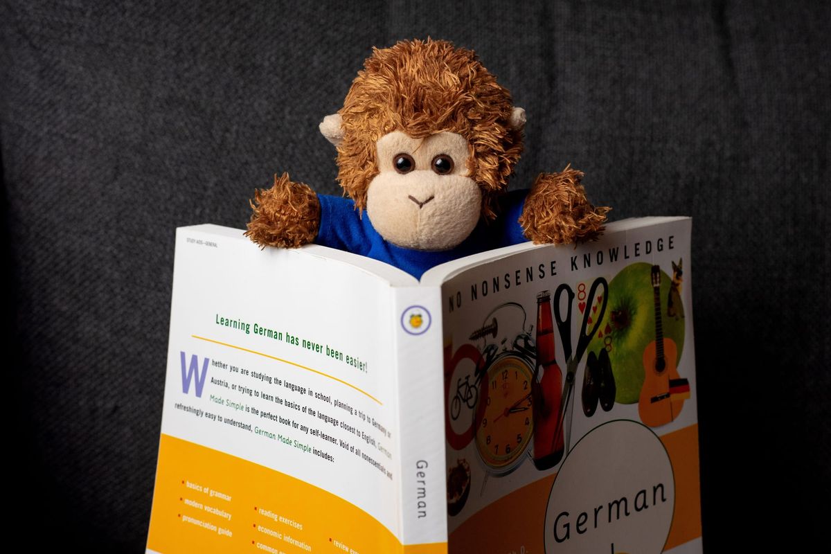 Bob T. Monkey brushes up on his German
