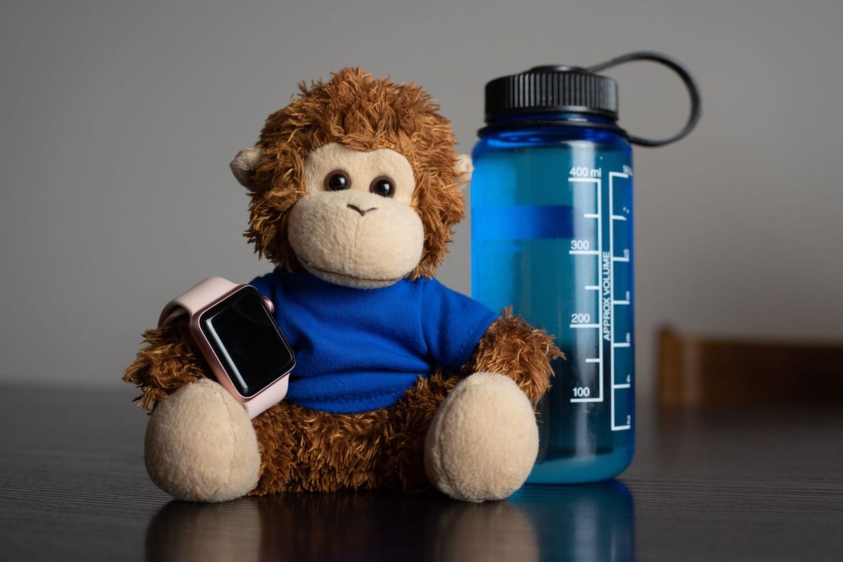 Bob T. Monkey prepares for some more active tasks