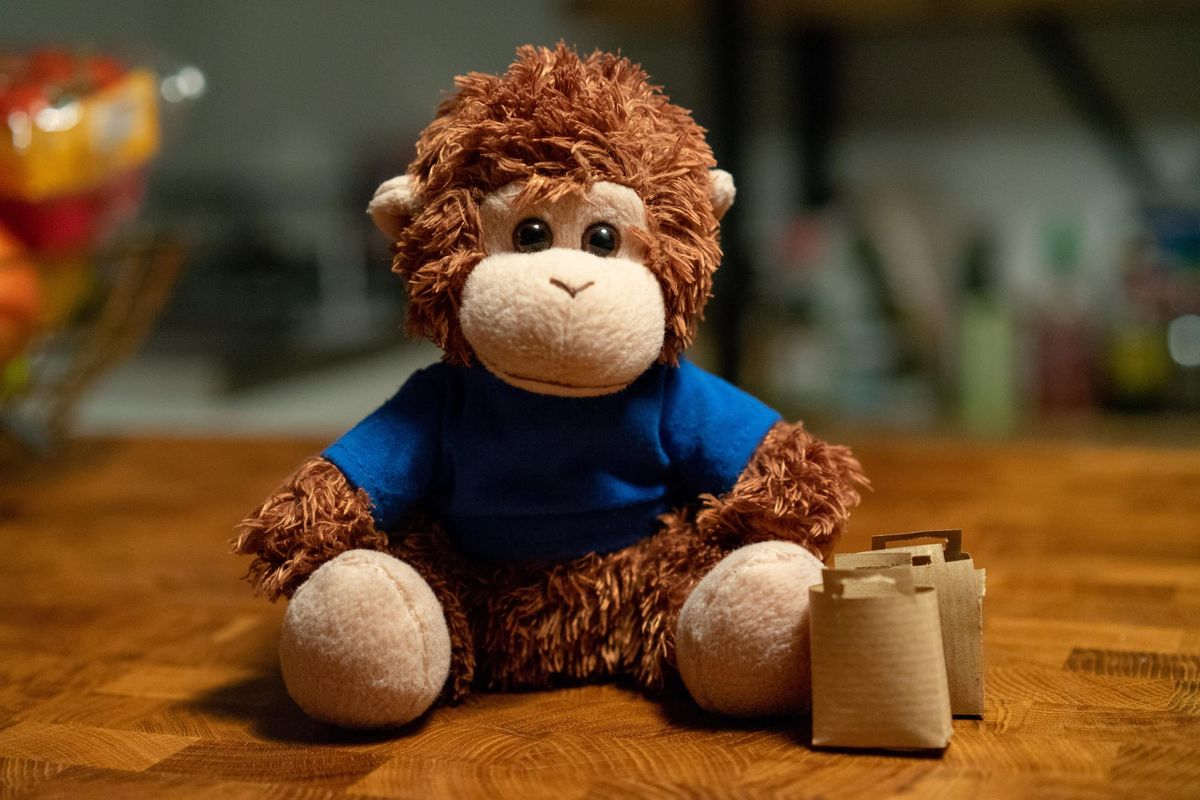 Bob T. Monkey with his shopping