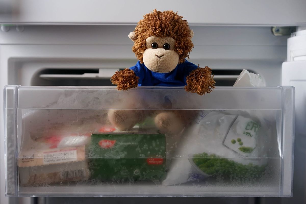 Tips & Tricks Tuesday: Tracking what's in your freezer