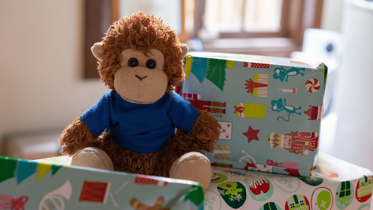 It’s holiday special time – give the gift of organization, and we’ll give a gift to you!