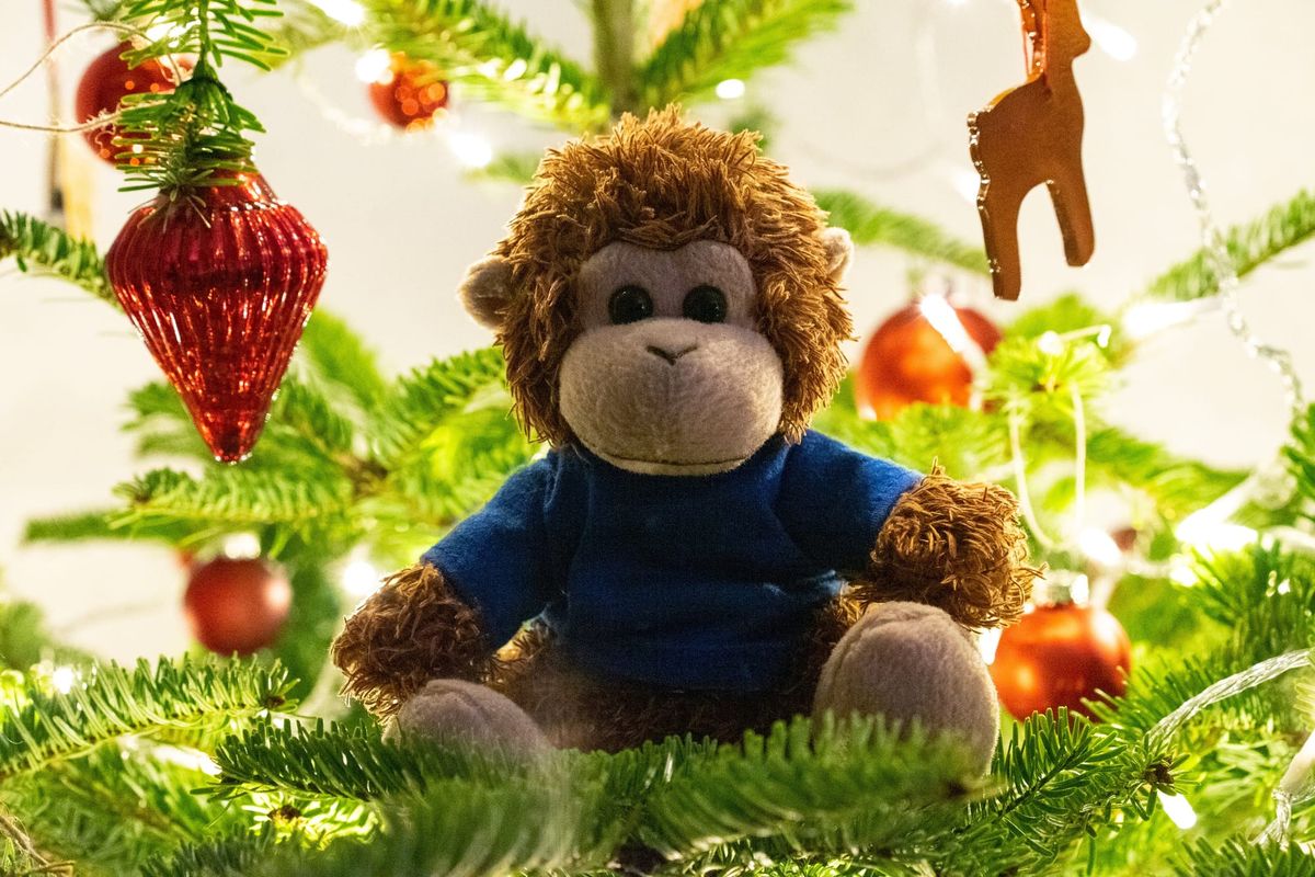 It’s holiday special time – give the gift of organization, and we’ll give a gift to you!