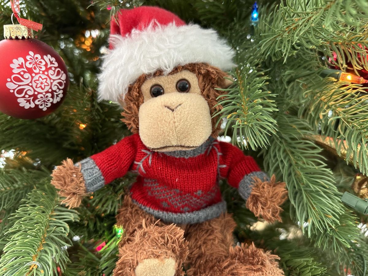 It’s time for our holiday special – give the gift of organization, and we’ll give a gift to you!