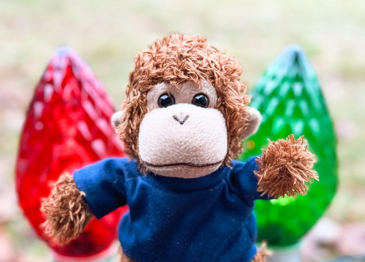 It’s holiday special time – give the gift of organization, and we’ll give a gift to you!