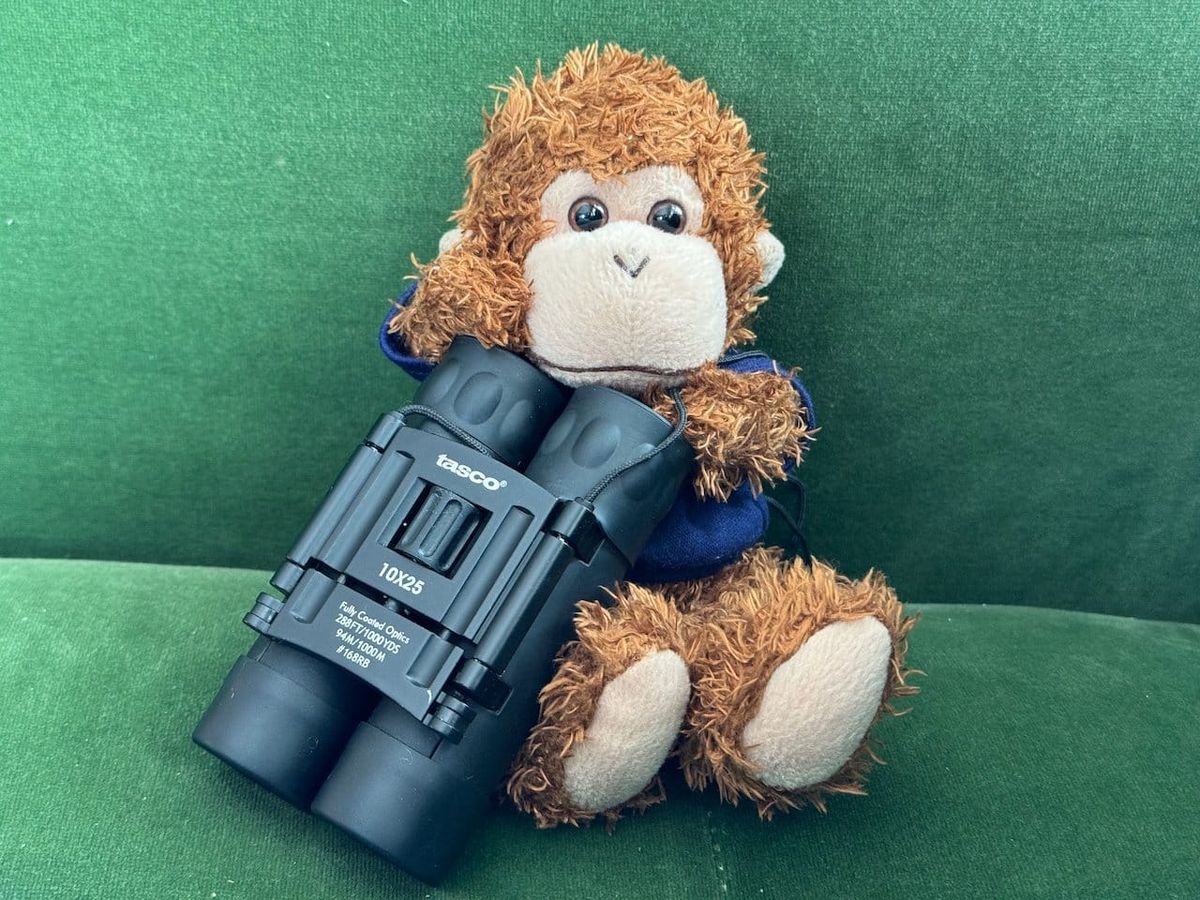 Bob T. Monkey with binoculars.