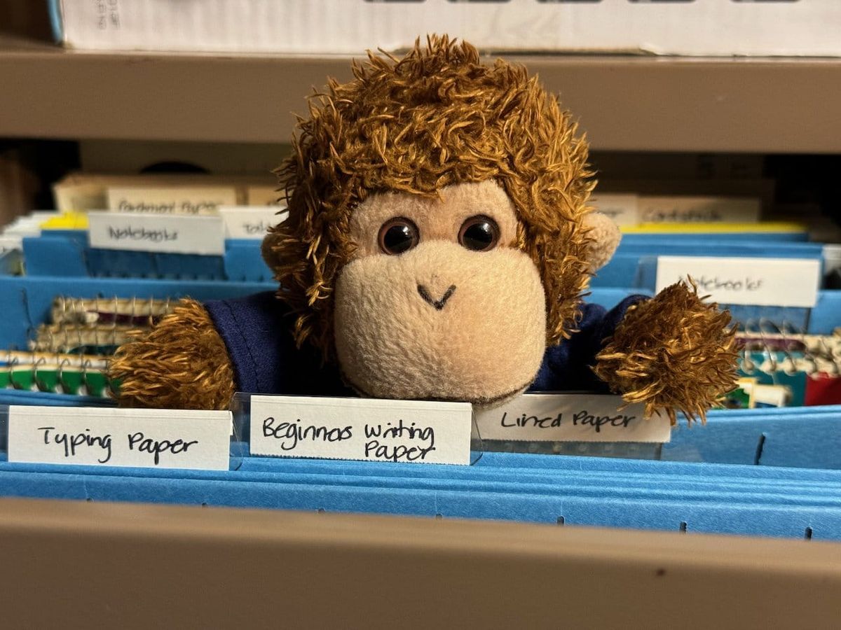 Bob T. Monkey inside a filing cabinet.