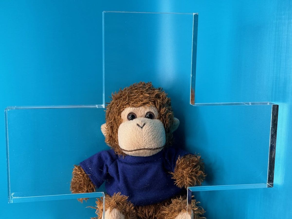 Bob T. Monkey with a plus sign.