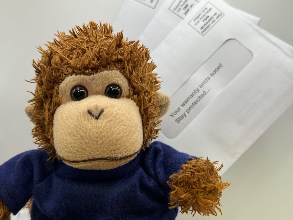 Bob T. Monkey with his warranty renewal.