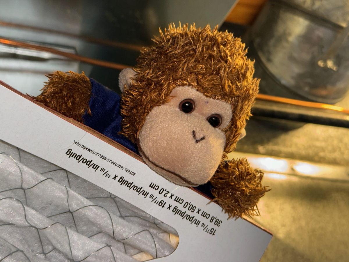Bob T. Monkey prepares to change the furnace filter.