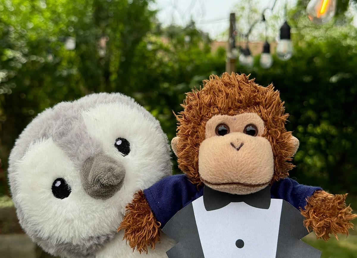 Bob T. Monkey wearing a tux, with penguin friend.