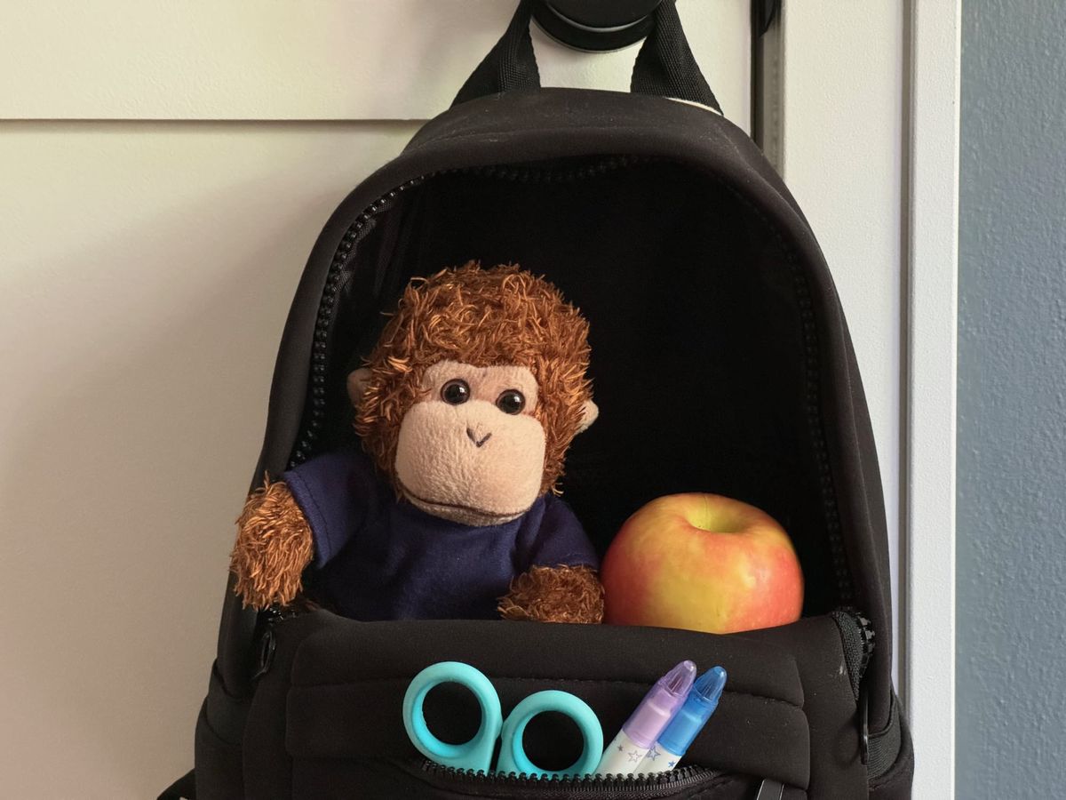 Bob T. Monkey organizing his school backpack.