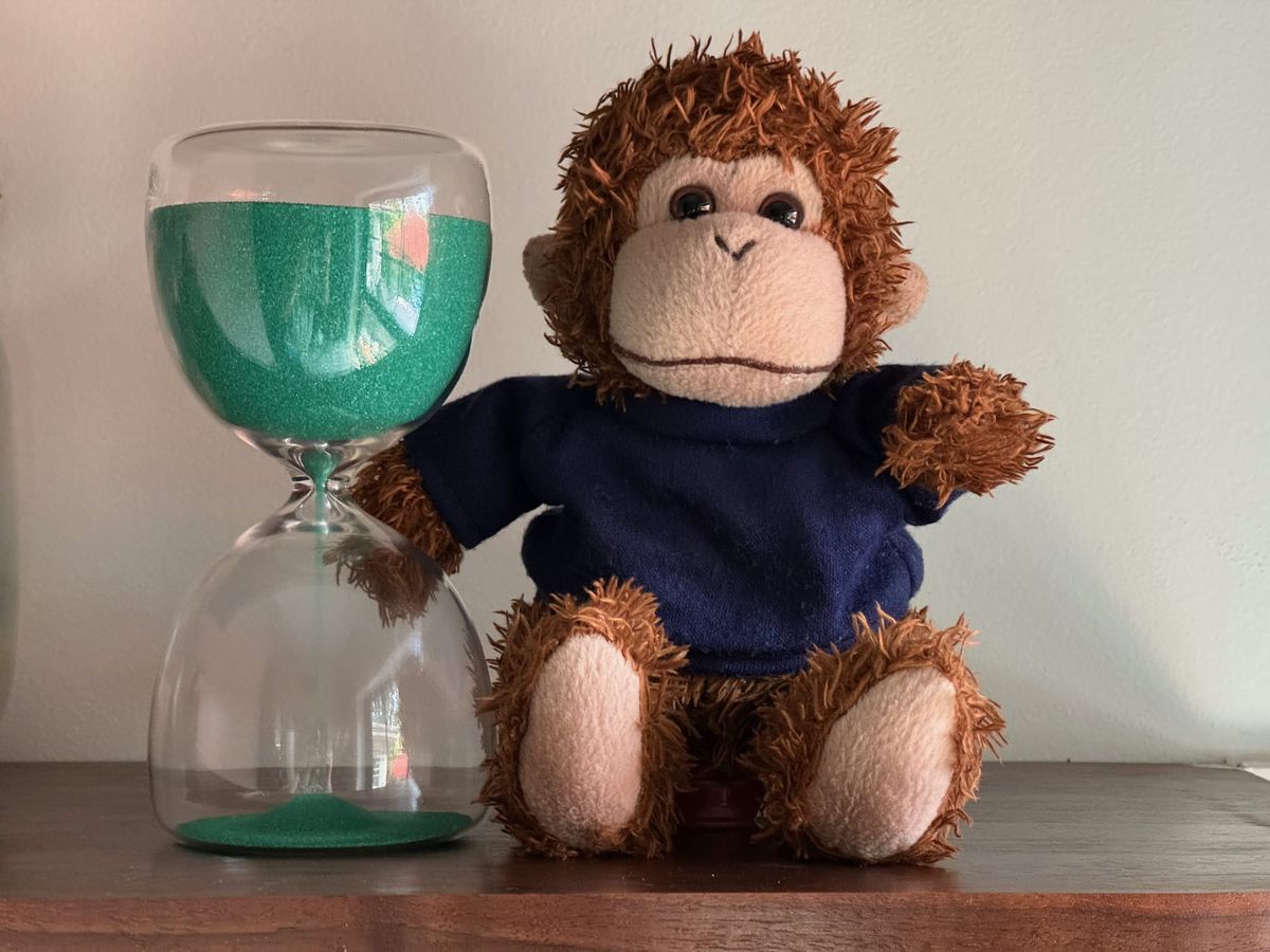 Bob T. Monkey waits very patiently next to his hourglass.