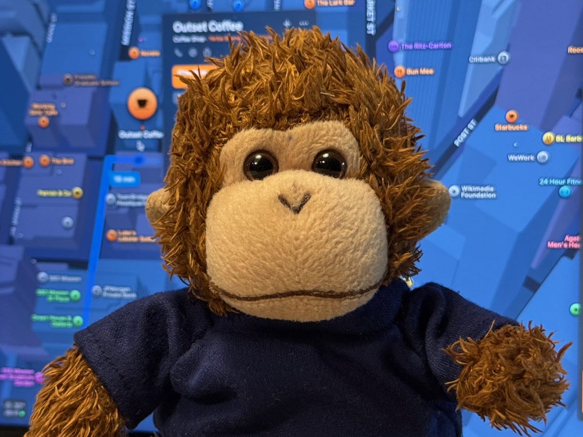 Bob T. Monkey in front of a map to his favorite coffee place.