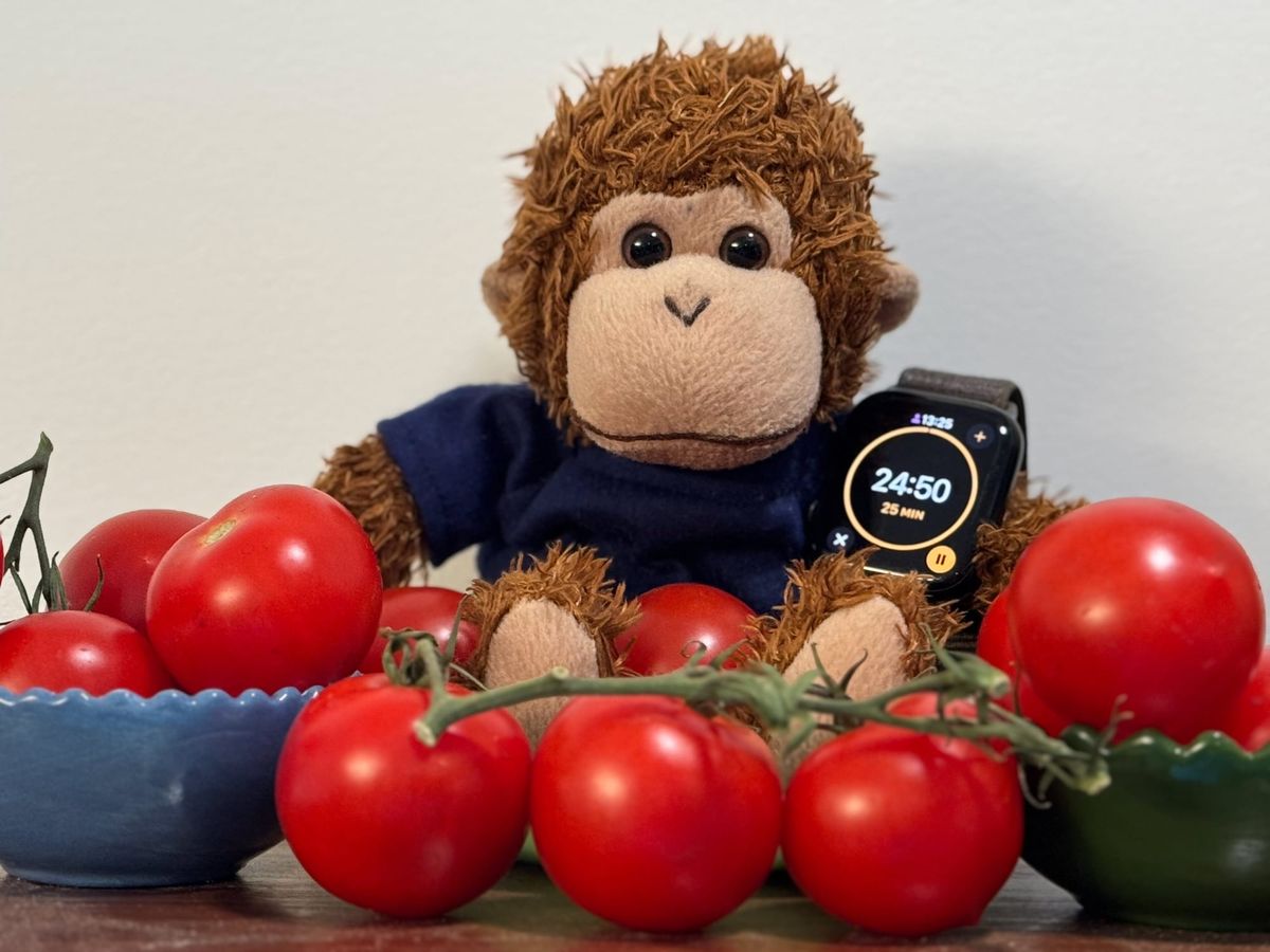 Bob T. Monkey with tomatoes and a Pomodoro-style timer on his watch.
