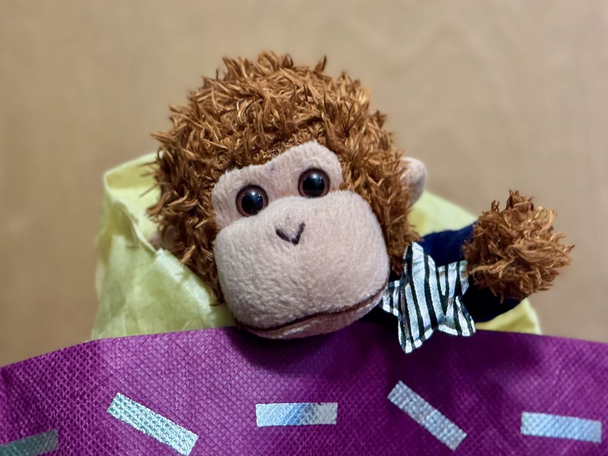 Bob, adorned with a star, popping out of a gift bag