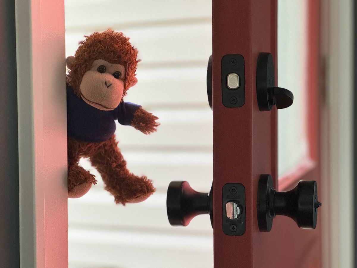"Here's Bob!" Bob is peeking through an open door.
