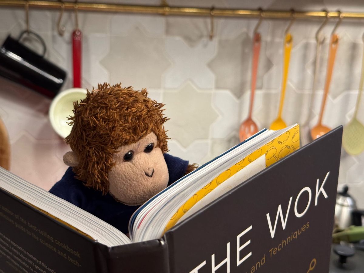 Bob standing in the kitchen, intently reading a cookbook titled "The Wok"