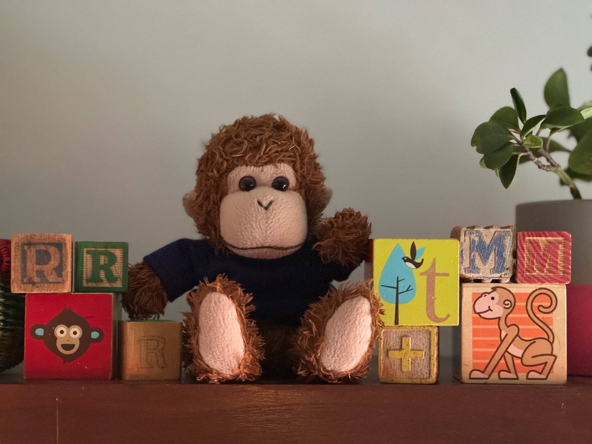 Bob sitting next to building blocks with the letters R T and M on them. Two other blocks feature monkeys.