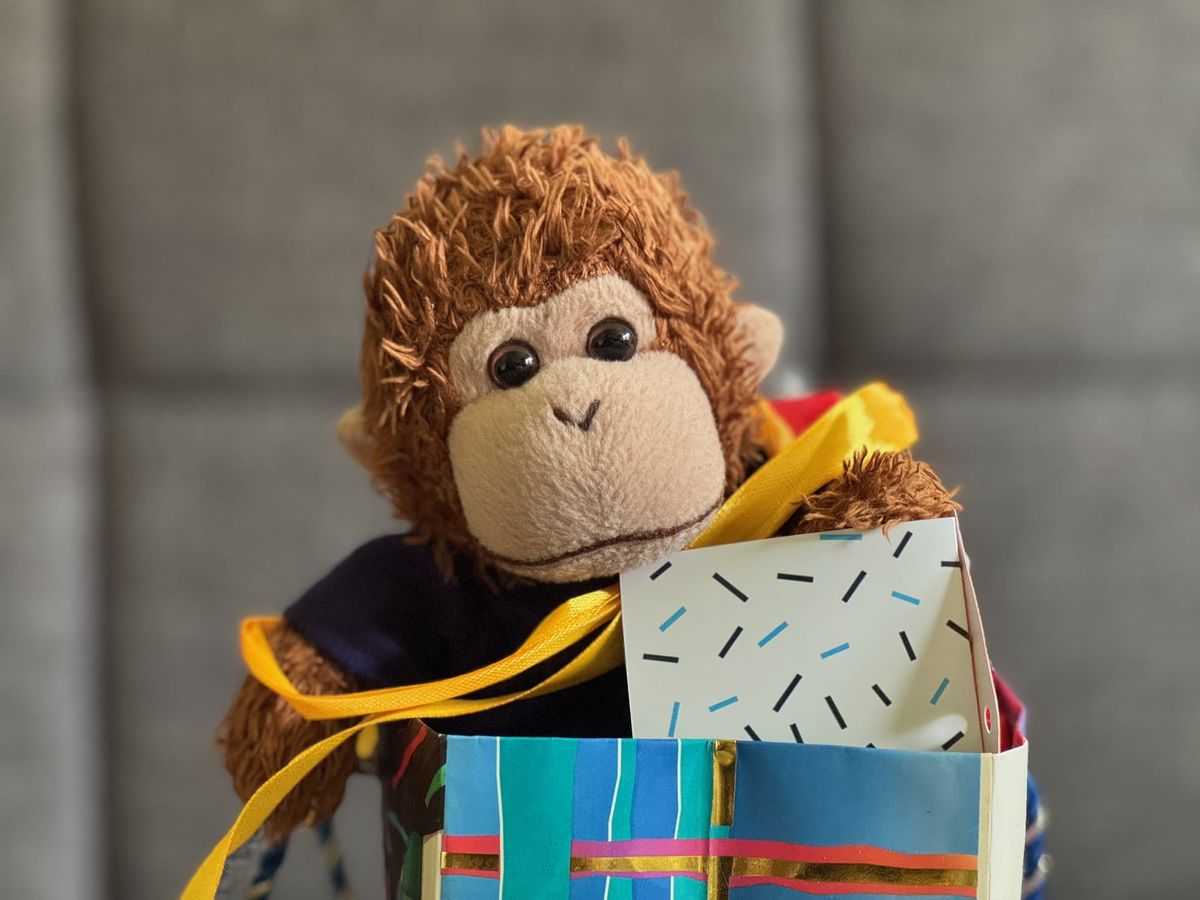 Bob tangled up in gift wrapping and ribbon.