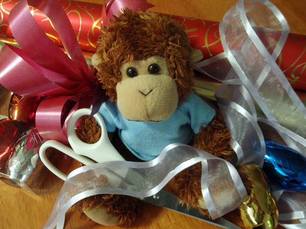 Bob T. Monkey with gift wrapping
