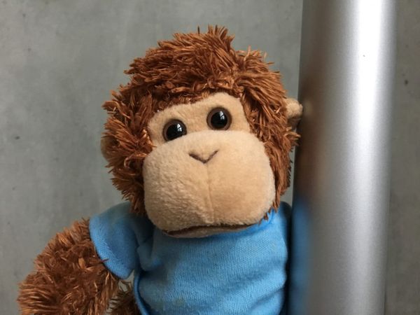 Bob T. Monkey with his Festivus pole