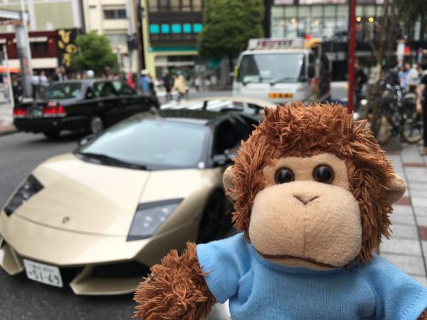 Bob T. Monkey with a car