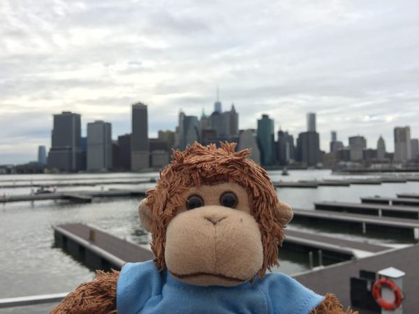 Bob T. Monkey and New York City