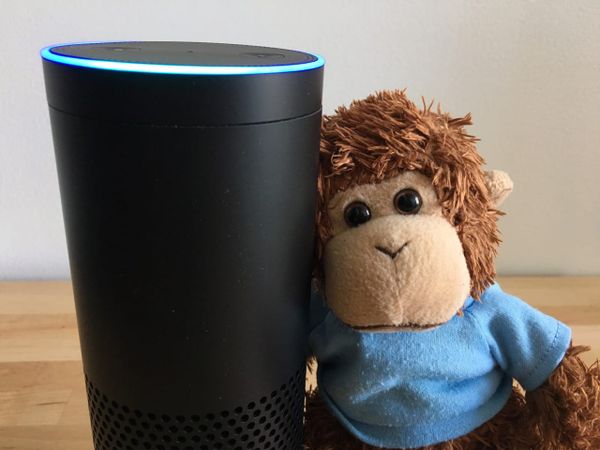 Bob T. Monkey with an Amazon Echo