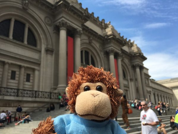 Bob T. Monkey at the museum