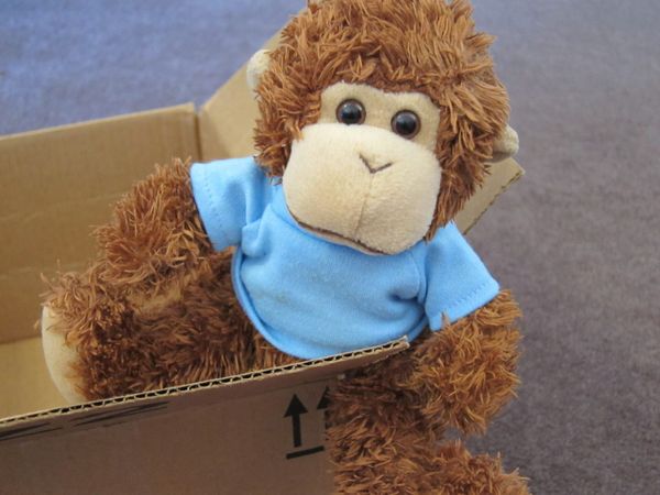Bob with a box