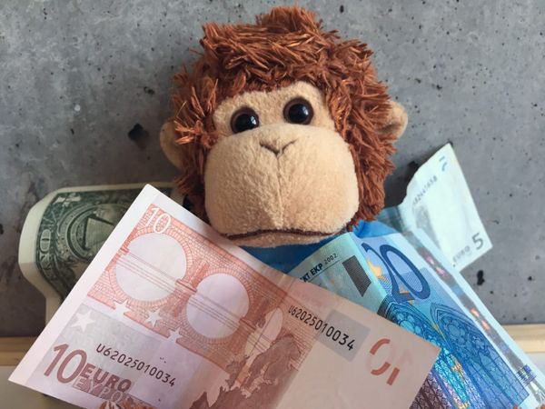 Bob T. Monkey with money