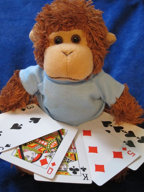 Bob T. Monkey doing a magic trick with cards