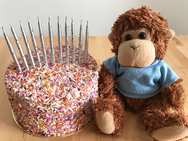 Bob T. Monkey with a birthday cake