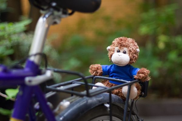 Bob T. Monkey on a bike