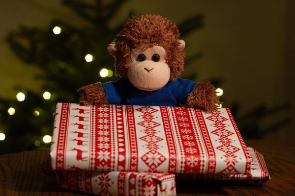 Bob T. Monkey with Christmas presents
