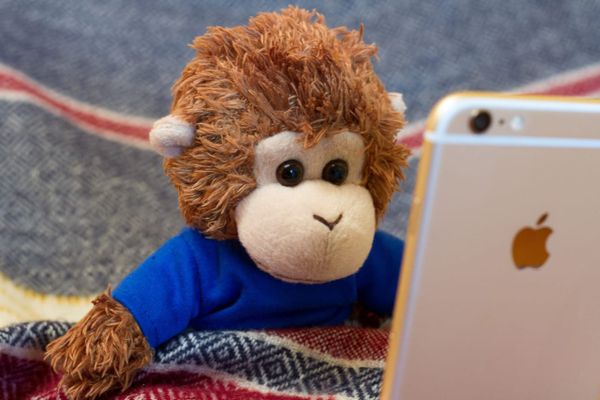 Bob T. Monkey in bed