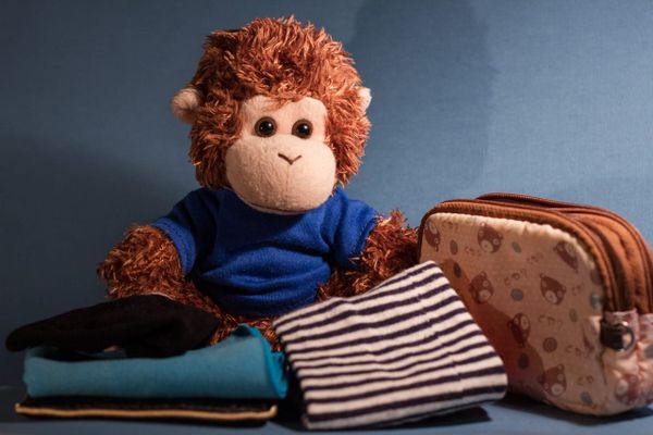 Bob T. Monkey packs for a trip