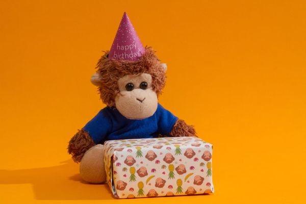 Bob T. Monkey celebrates a birthday