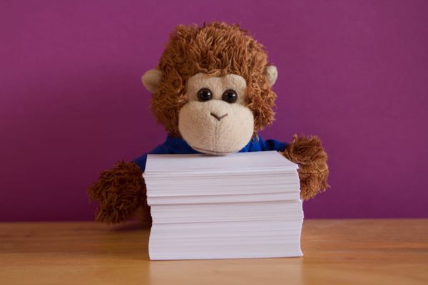 Bob with a whole stack of tasks to follow up on