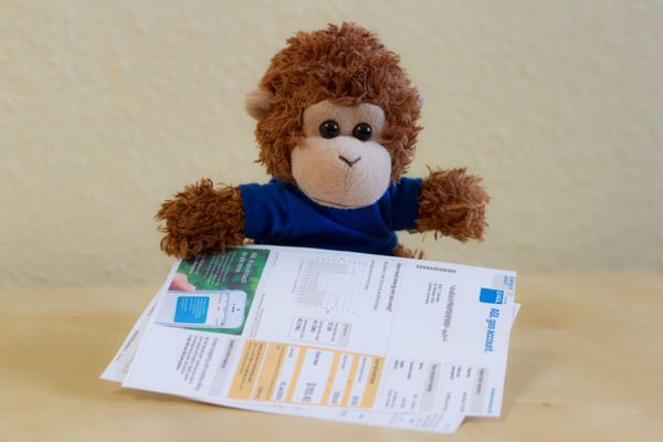Bob T. Monkey makes sure he pays his bills on time
