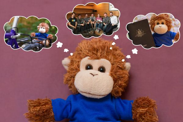 Bob T. Monkey has fond memories of past events