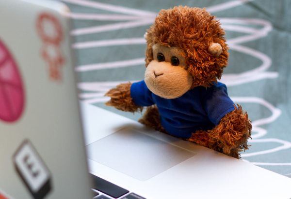 Bob T. Monkey works on his tasks on his laptop