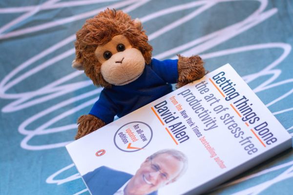 Bob T. Monkey studies different organization methods