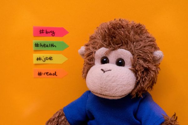 Bob T. Monkey organizes some tags