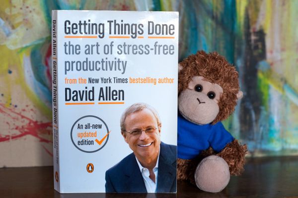 Bob T. Monkey reads one of his favorite books, Getting Things Done