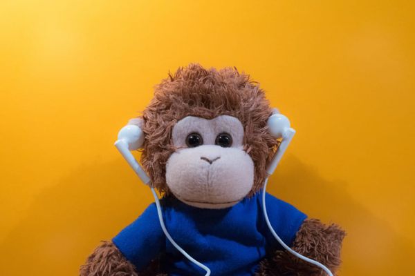 Bob T. Monkey making some calls