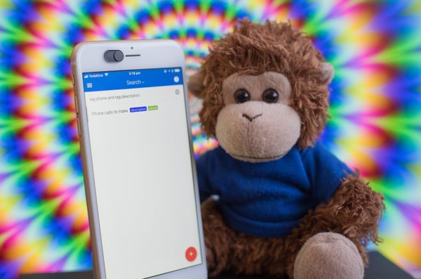 Bob T. Monkey or Hypnotoad?