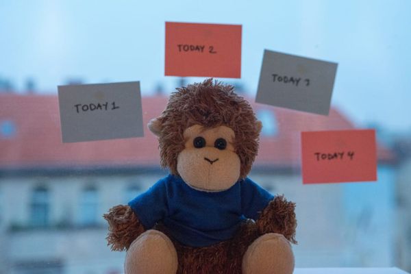 Bob T. Monkey thinks about his four 'Today' Smart Lists